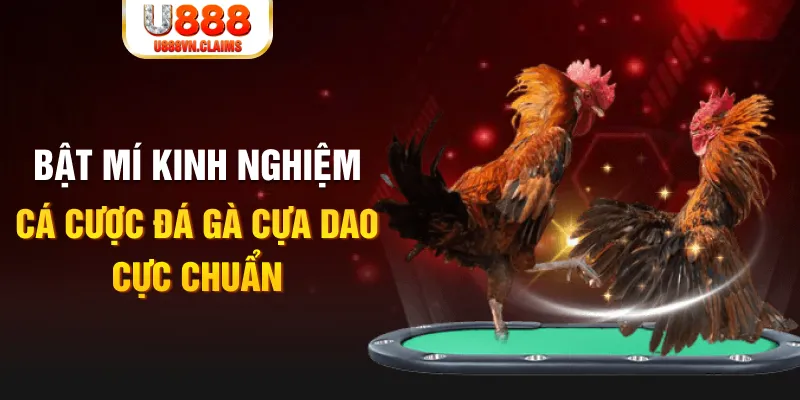 momo gam trong baccarat, ai là người chia bài chính？