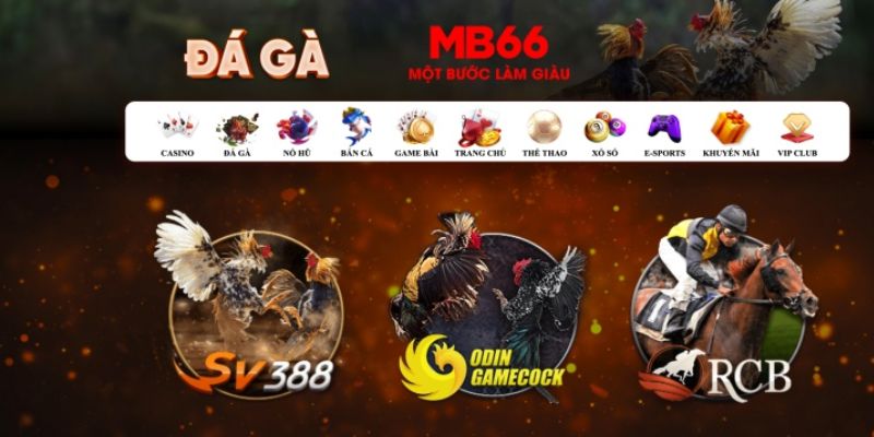 momo gam Bài Poker Hoàn Toàn Mỹ