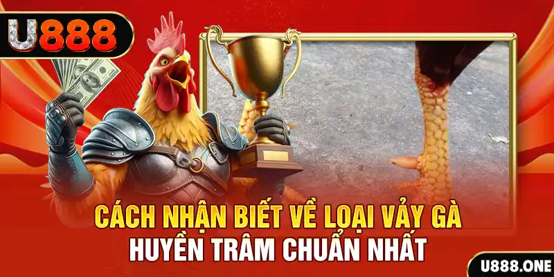 momo gam Chú hề Patty tuổi teen