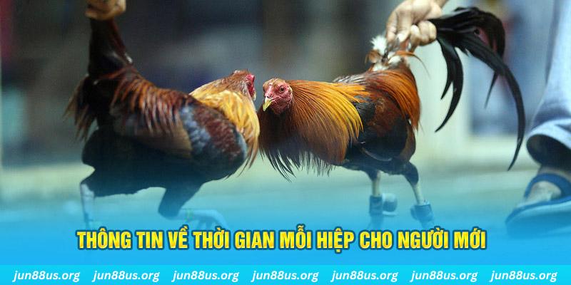 momo gam Long Hổ 2