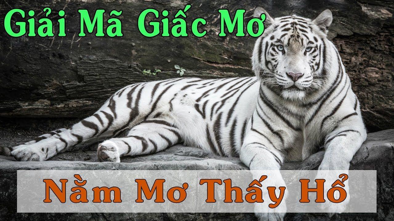 momo gam đăng nhập liêng tặng tiền