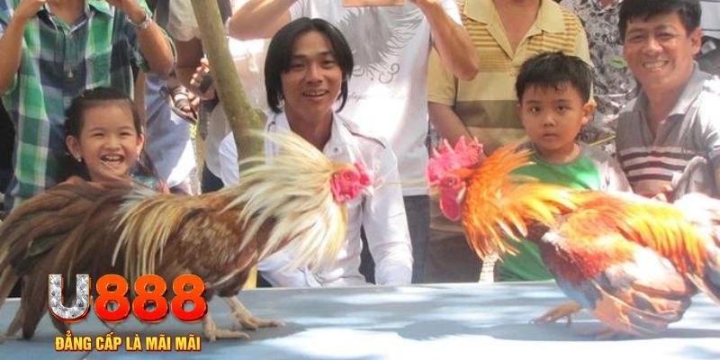 momo gam mơ thấy nổ hũ đánh con gì