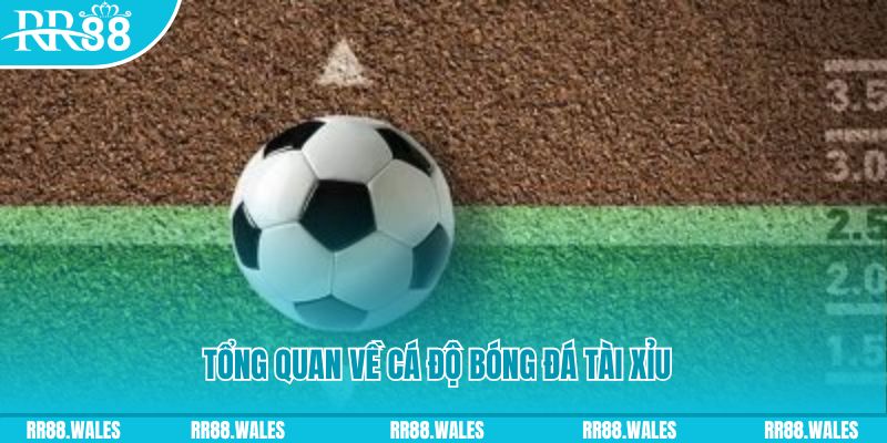 momo gam JDB Điện Tử