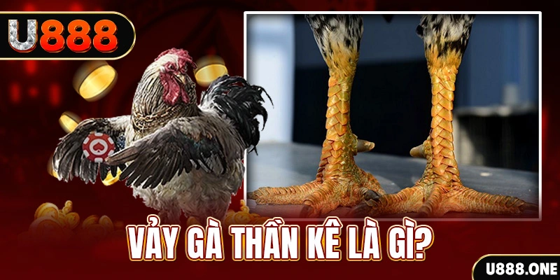 momo gam xổ số miền bắc thứ tư hàng tuần