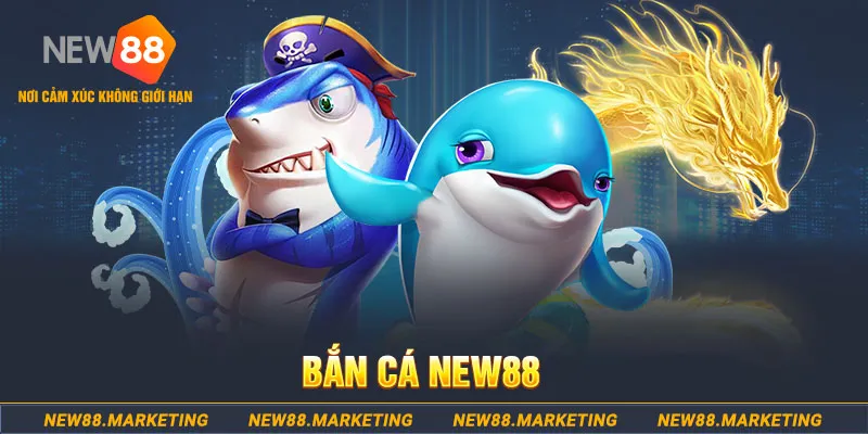 momo gam ga choi c1 tv