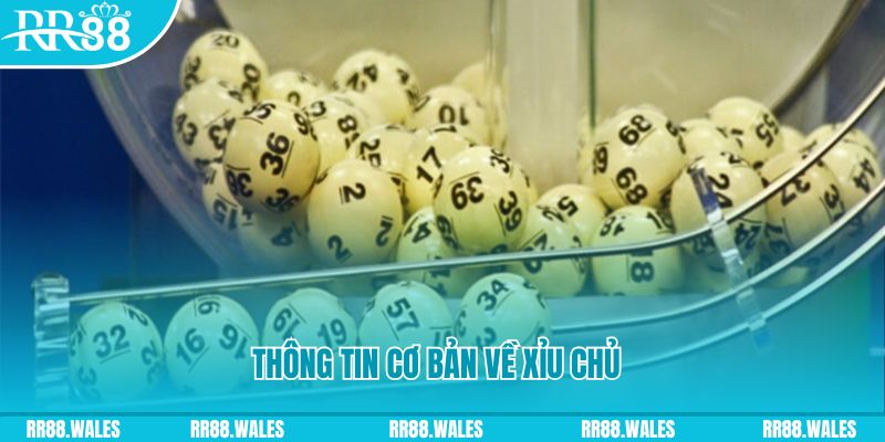 momo gam baccarat long bảo là gì