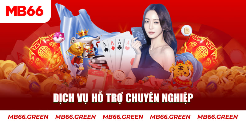 momo gam 5G Điện Tử