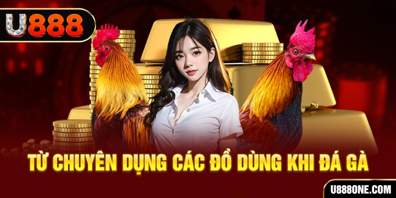 momo gam BSP Bắn cá
