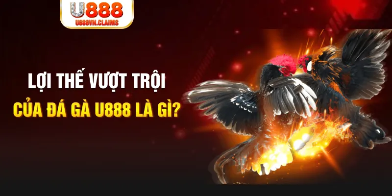 momo gam 888 slot là gì