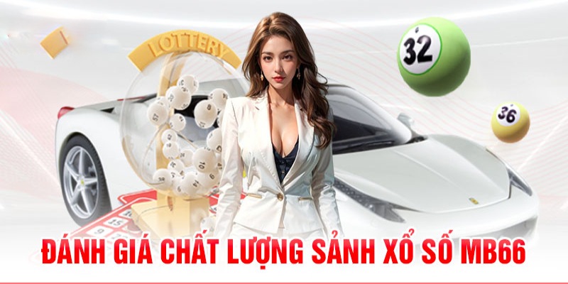 momo gam 789bet có bao nhiêu sảnh game bài 3d ？